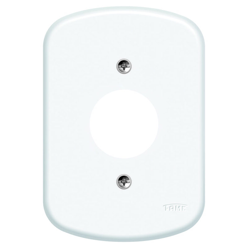 BLANC PLACA 4X2 F5 FAME