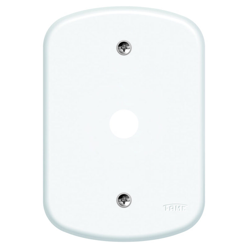 BLANC PLACA 4X2 F6 FAME