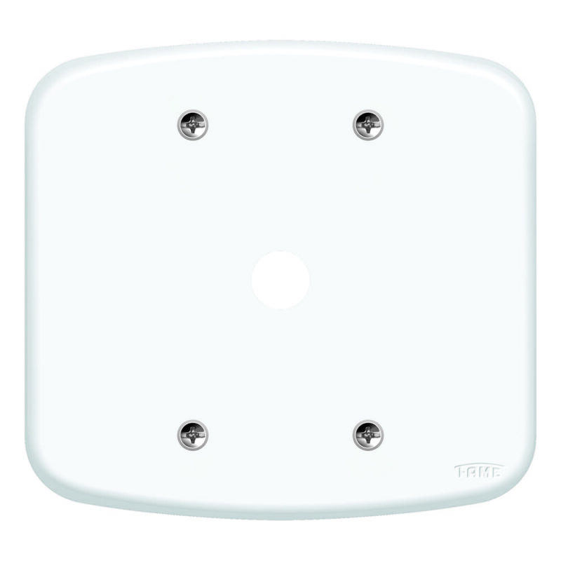 BLANC PLACA 4X4 F06 FAME
