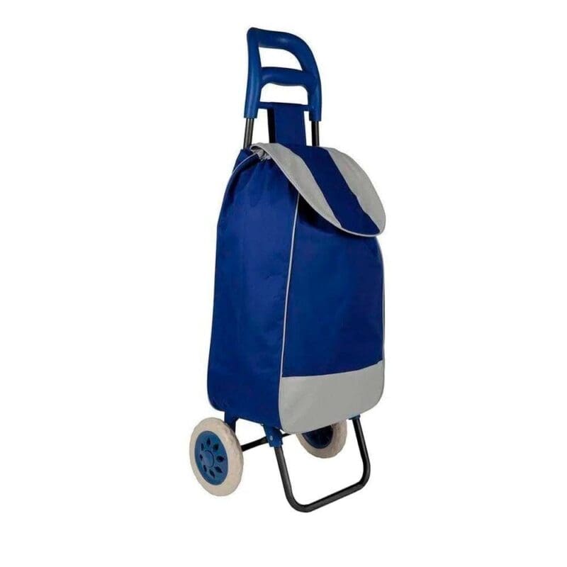 CARRINHO DE FEIRA COM SACOLA